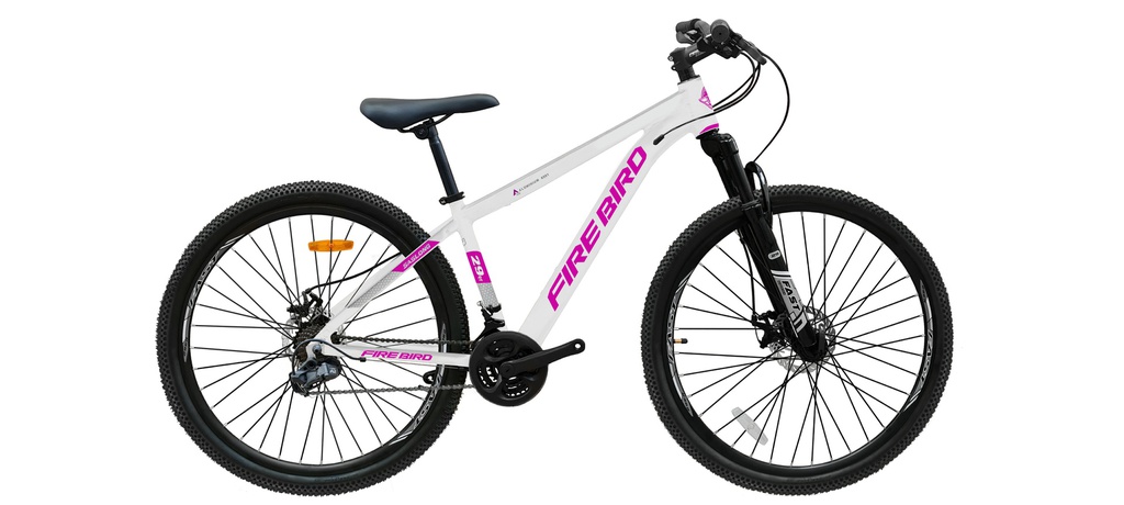 Bicicleta R29 Mtb Aluminio Horq. Susp. 21Vel. Fast F.Disco-Doble Pared - FIRE BIRD - Mujer