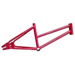 [1669] Cuadro Cross R.14 Dama